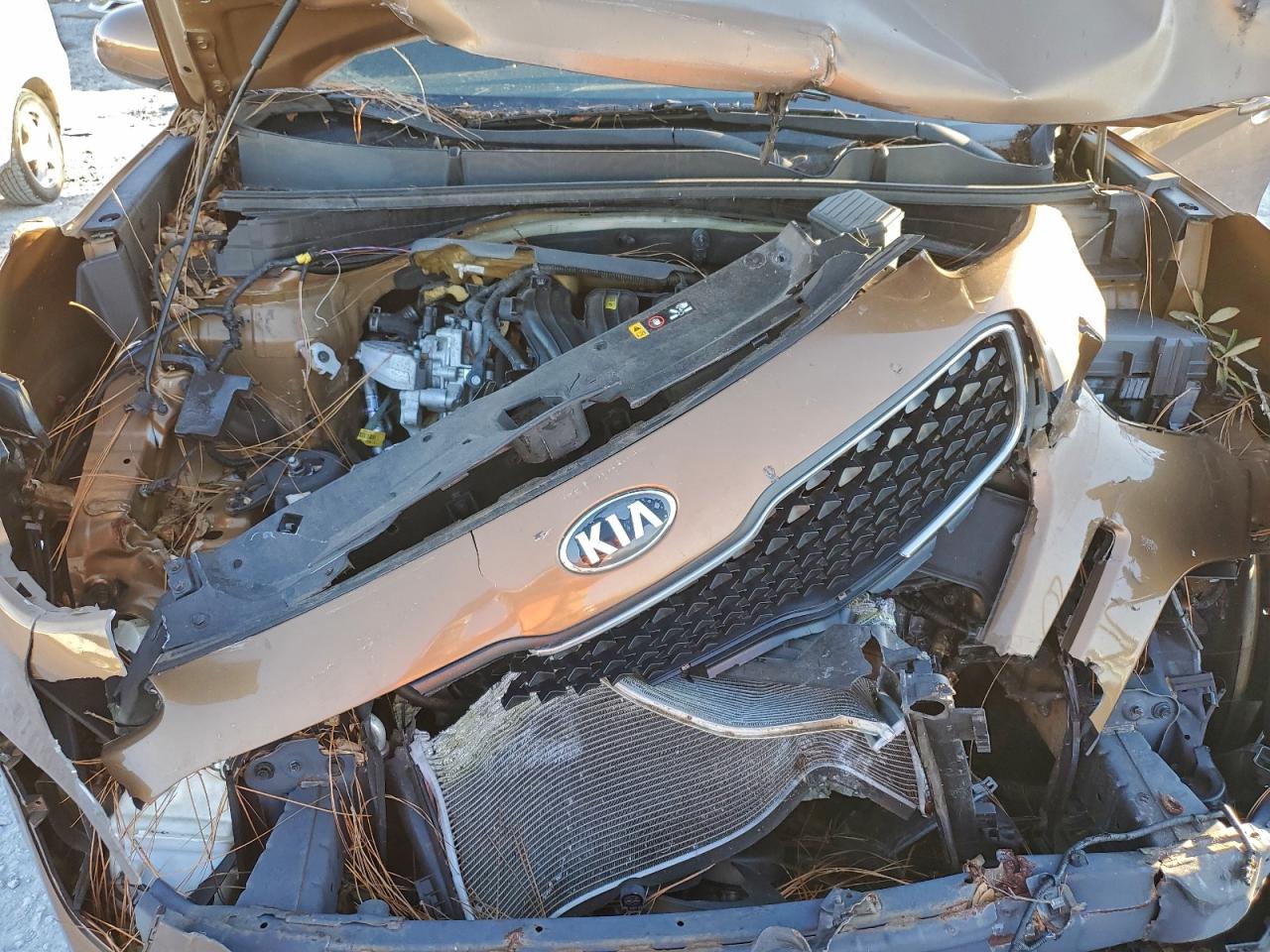 Kia Sportage Lx Image 13