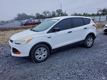  Salvage Ford Escape