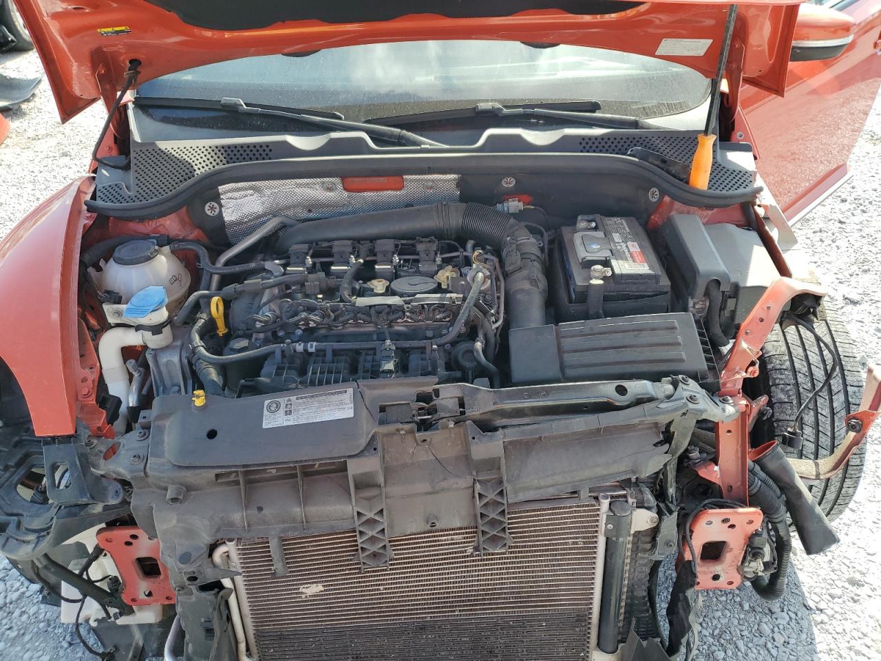 Volkswagen Beetle S Image 6