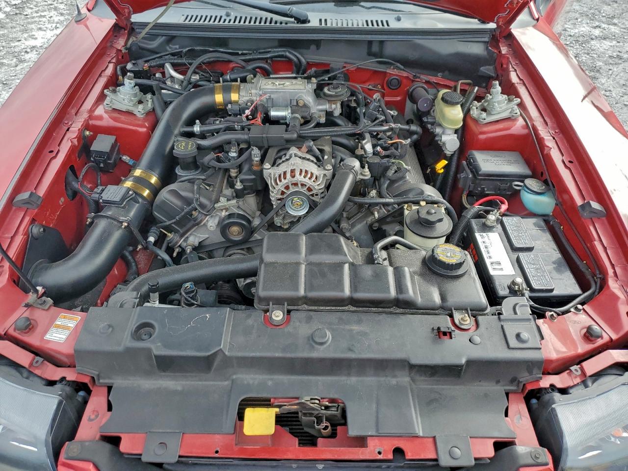 Ford Mustang Gt Image 6