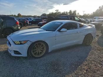 Salvage Ford Mustang