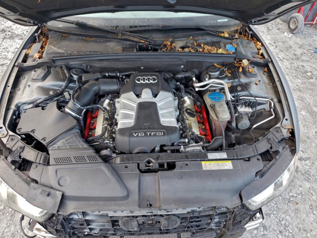 Audi S5 Premium Plus Image 11