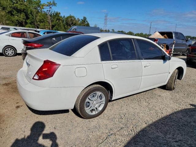 Saturn Ion Level 2 Image 4