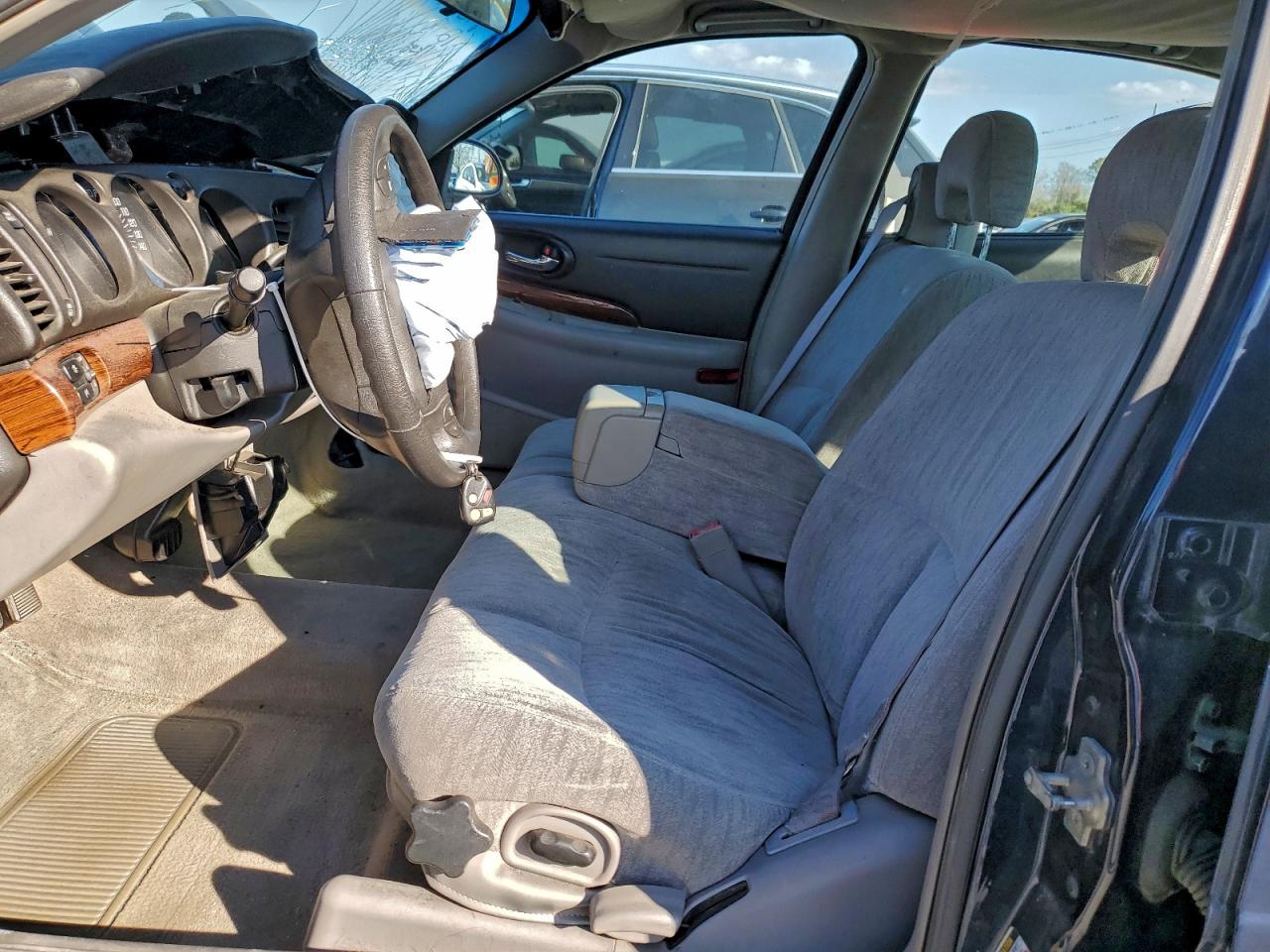 Buick LeSabre Custom Image 3