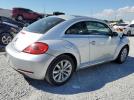 Volkswagen Beetle Image 2