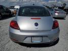 Volkswagen Beetle Image 5