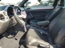 Volkswagen Beetle Image 12
