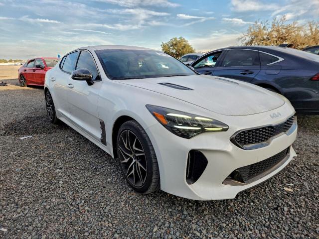 Kia Stinger Gt Line Image 3