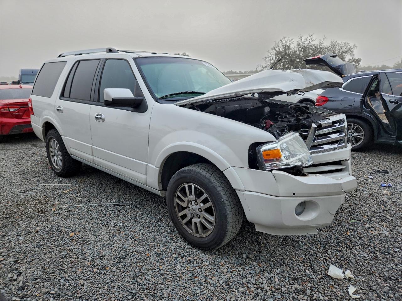 Ford Expedition Limited Image 2