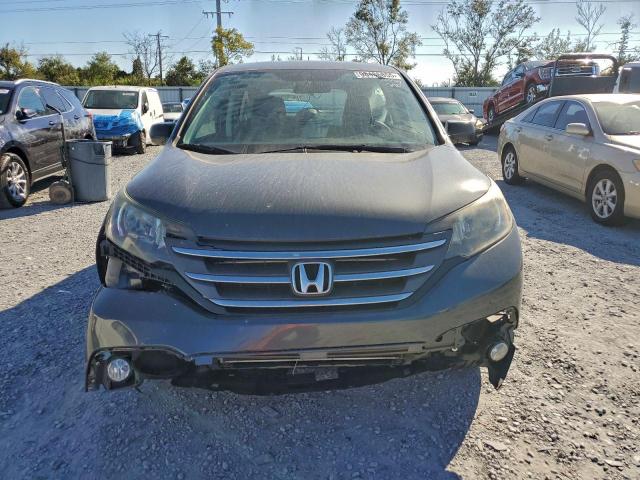 Honda Crv Lx Image 4