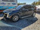 Cadillac XT4 Premium Luxury Image 1