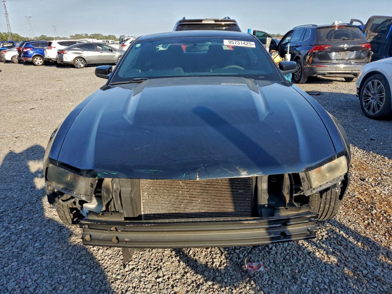 Ford Mustang Gt Image 11