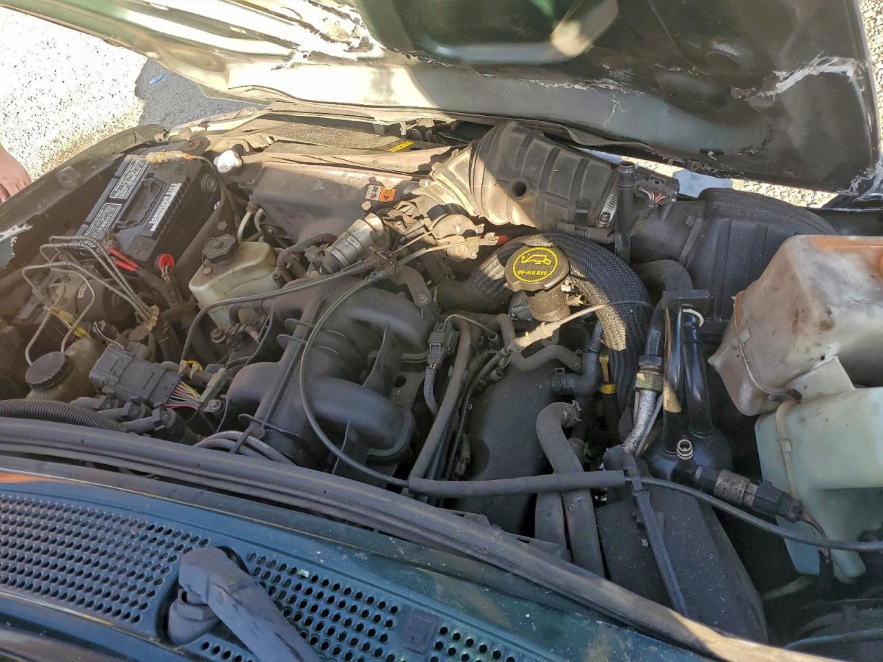 Ford Ranger Super Cab Image 8