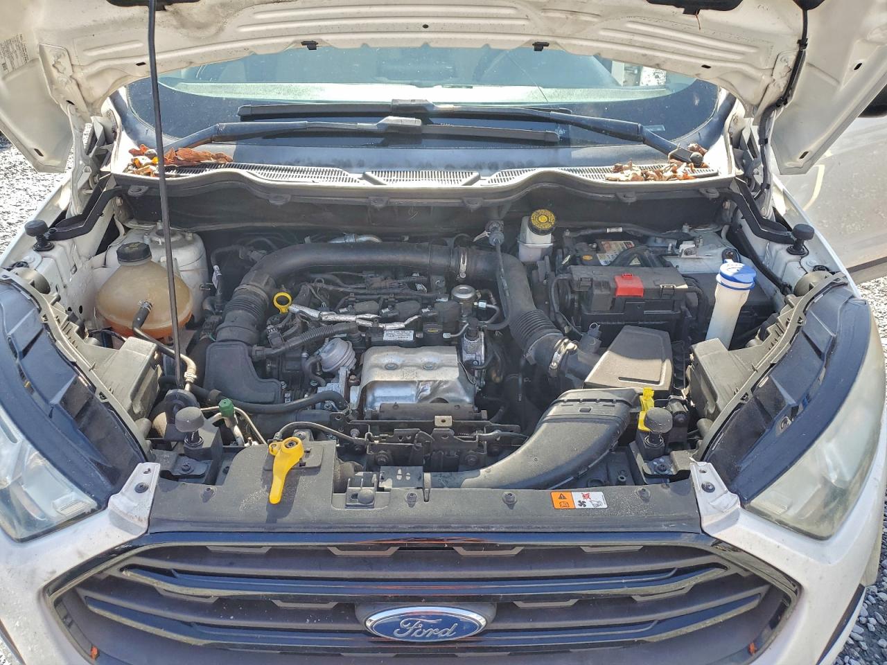 Ford EcoSport S Image 4