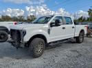 Ford F-250 Super Duty Image 1