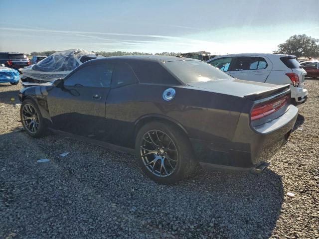 Dodge Challenger R/t Image 3