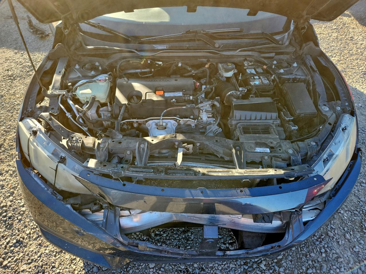 Honda Civic Lx Image 5