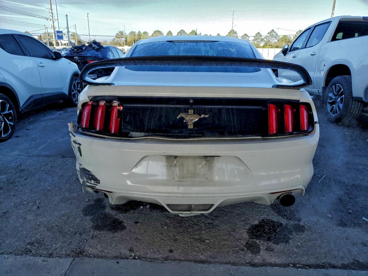 Ford Mustang Image 4