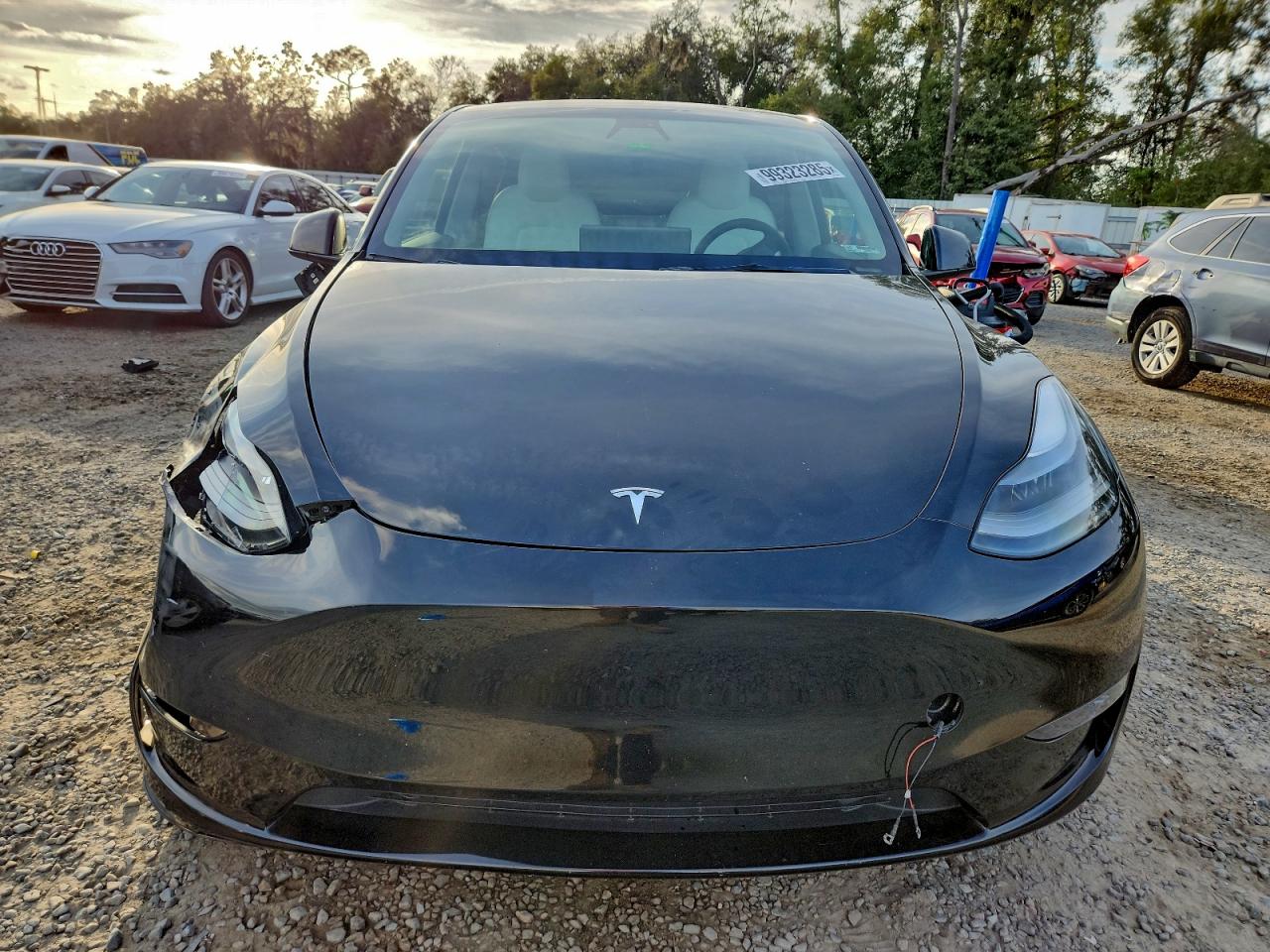 Tesla Model Y Image 8