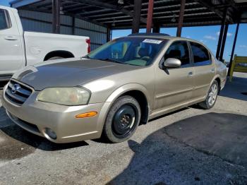  Salvage Nissan Maxima