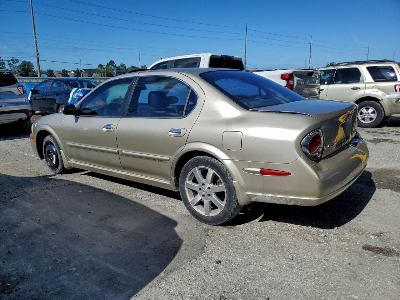 Nissan Maxima Gle Image 3